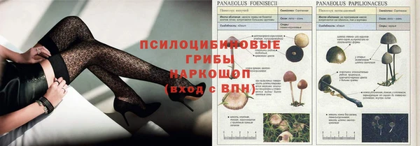 прущая мука Богородицк