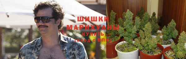 a pvp Тайга