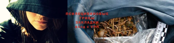 дживик Богородск