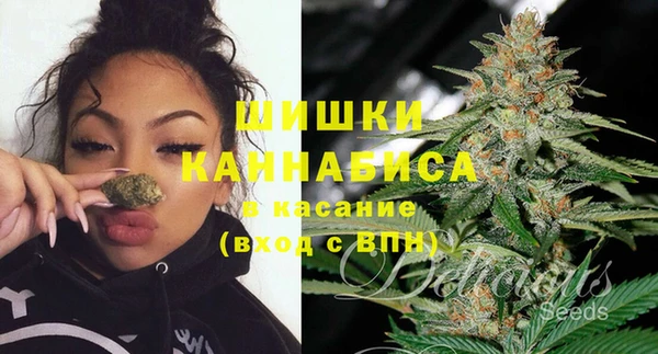 дживик Богородск