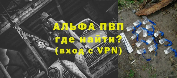 дживик Богородск