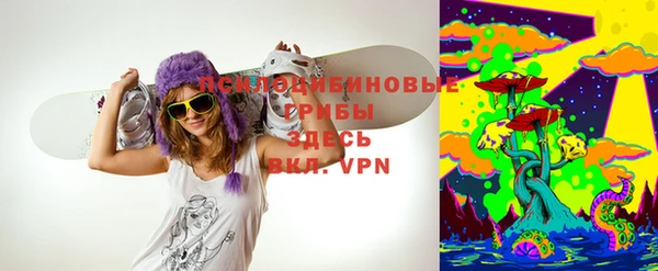 дживик Богородск