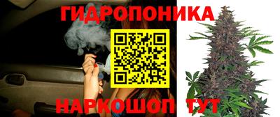 mdpv Балашиха