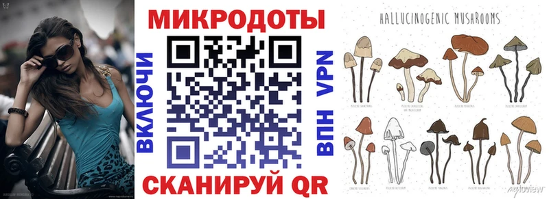 Псилоцибиновые грибы мицелий  Вязники 