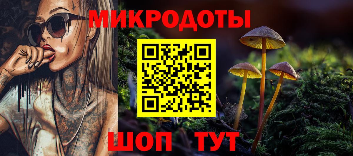 Галлюциногенные грибы Psilocybine cubensis  Вход с VPN  Вязники 