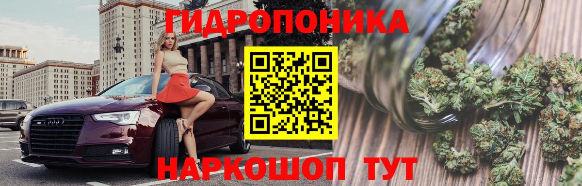 Шишки марихуана Bruce Banner Вязники